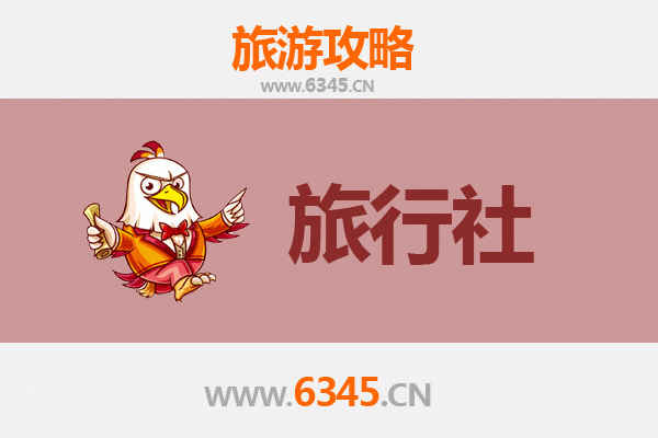 文昌国营罗豆农场旅行攻略：本地旅行社推荐与深度体验指南